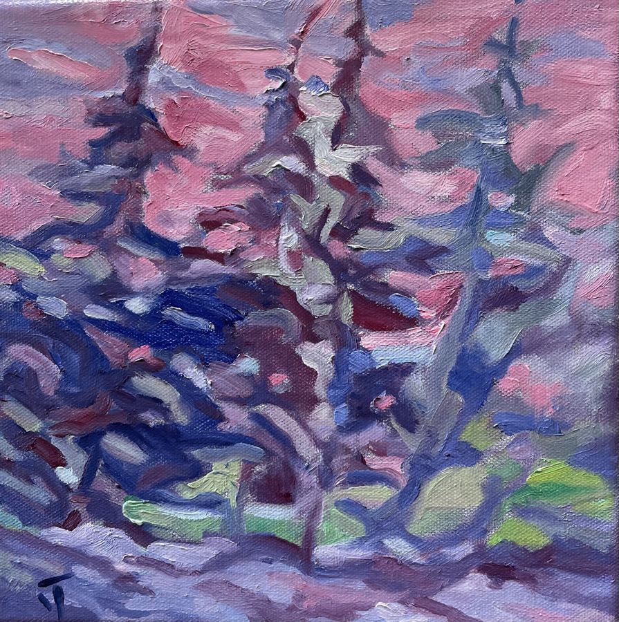 Pines in Winter, oil on stretched canvas by Joe Trimmeliti
